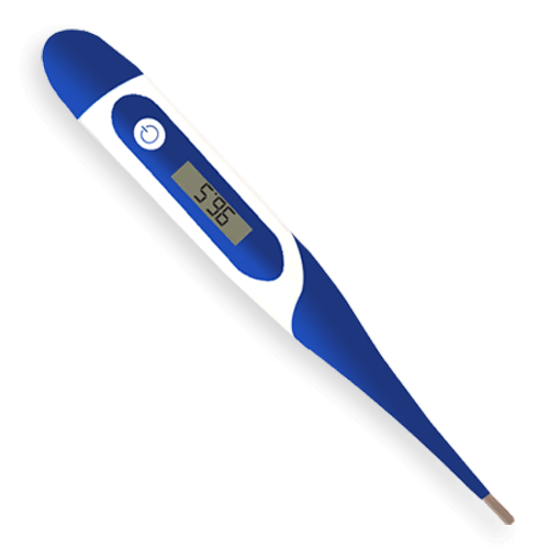 >Digital Thermometer